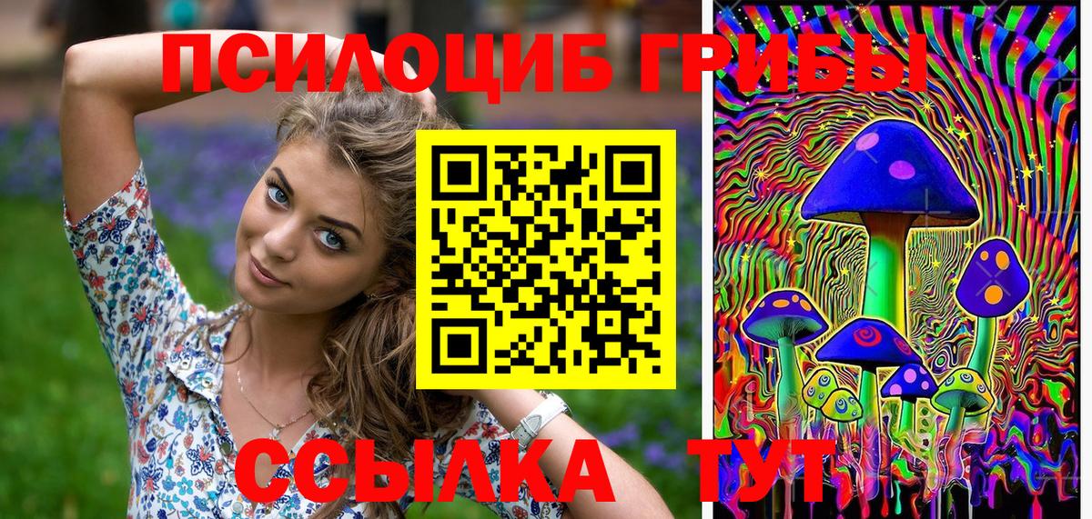 Верхний Уфалей  Псилоцибиновые грибы Psilocybine cubensis  Вход с VPN 