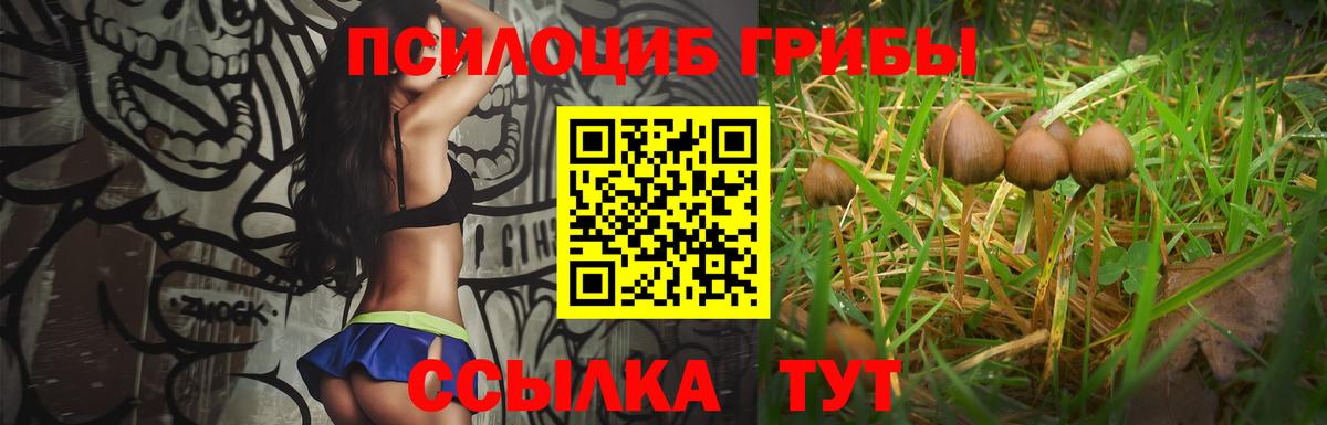 Галлюциногенные грибы мухоморы Верхний Уфалей
